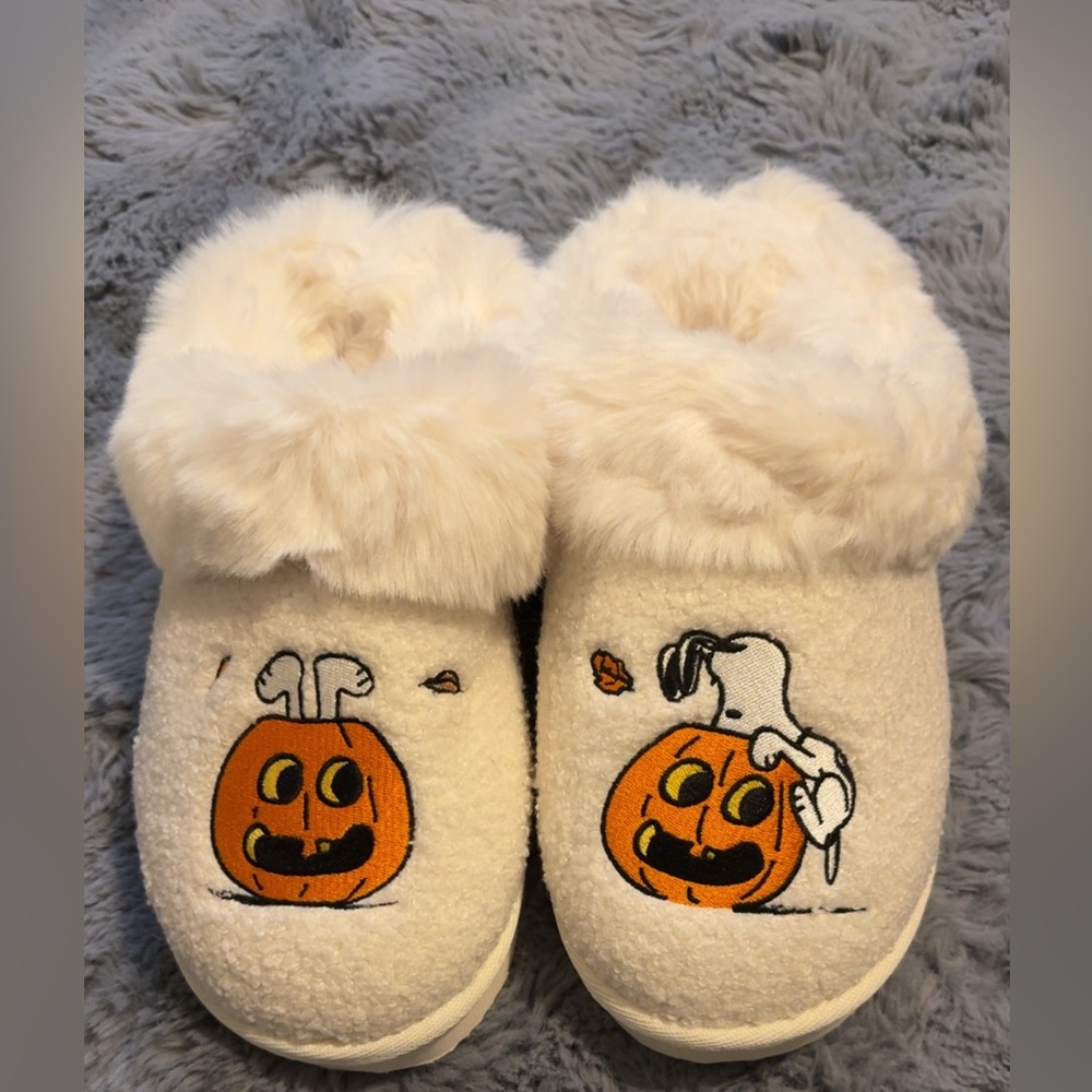 American Eagle Outfitters Snoopy Slippers!